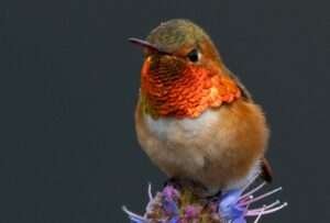 representing the journey of personal transformation process.